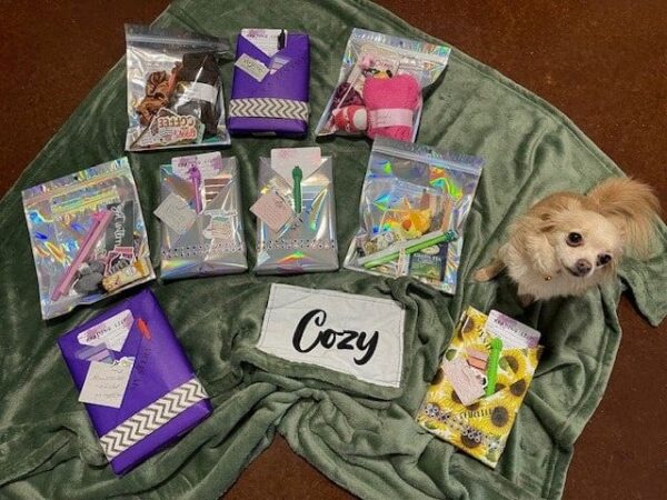 A dog sitting on top of a blanket next to some packages.