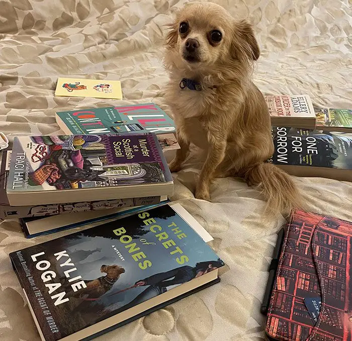 A dog sitting on the bed next to some books